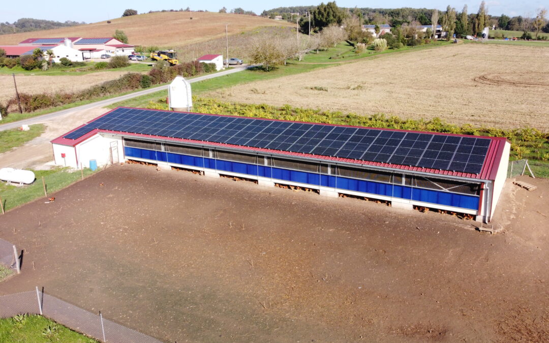 Installation photovoltaïque de 36 kWc sur un hangar agricole en autofinancement dans le Tarn (81)